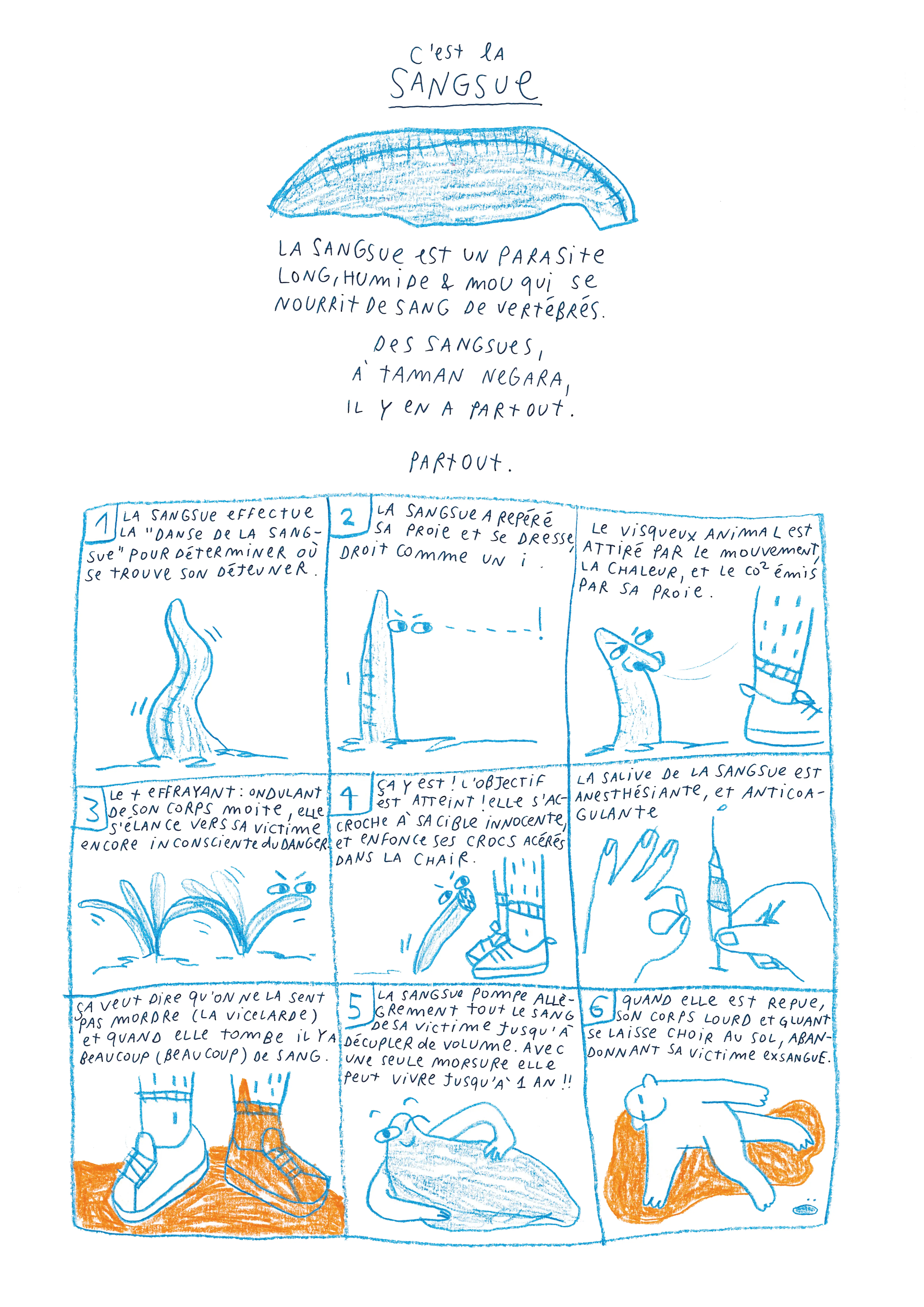 taman negara, comment la sangsue trouve sa proie